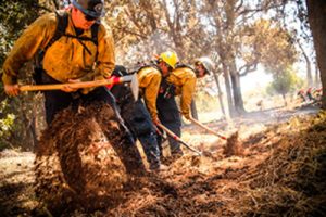 hand crew clearing dry vegetation