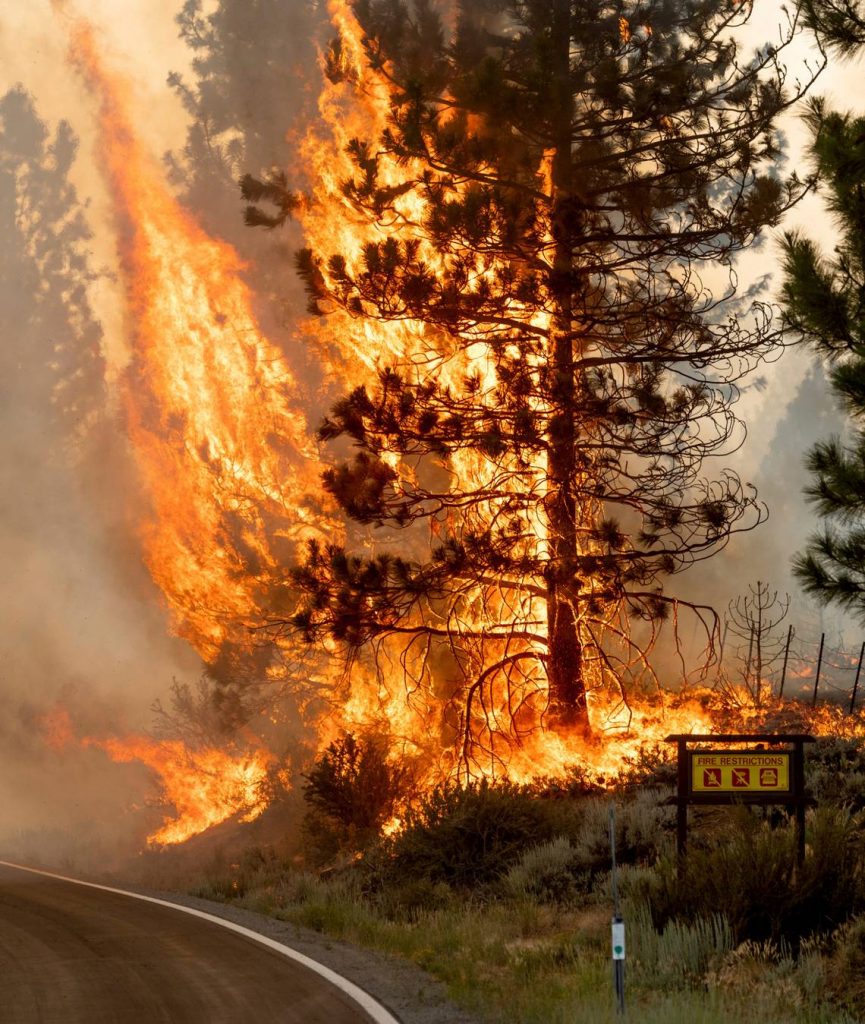 7 Northern California wildfires: