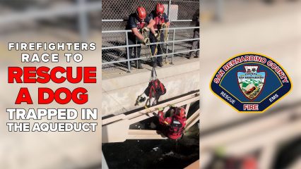 Firefighters rescue a dog trapped in an aqueduct. Two firefighters in helmets pull the dog up with ropes and a harness from the bridge above, while another firefighter in water gear assists from below. Large text on the left reads, “Firefighters race to rescue a dog trapped in the aqueduct.” On the right is the San Bernardino County Fire Department logo.