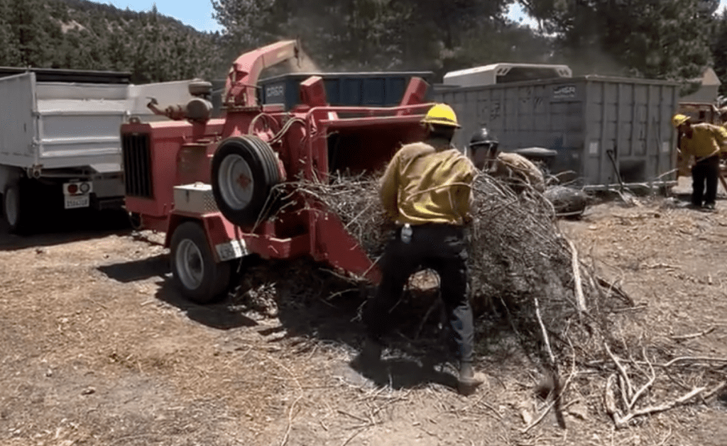 Fire personnel in yellow protective gear and helmets feed a large bundle of dry branches into a red wood chipper during a wildfire prevention effort. The scene takes place in a forested area with trucks and dumpsters in the background. Dust rises as the chipper processes the vegetation, highlighting the active removal of fire hazards.